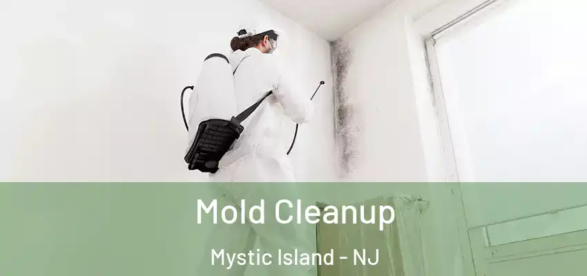 Mold Cleanup Mystic Island - NJ