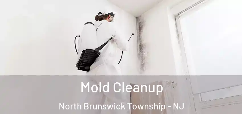  Mold Cleanup North Brunswick Township - NJ