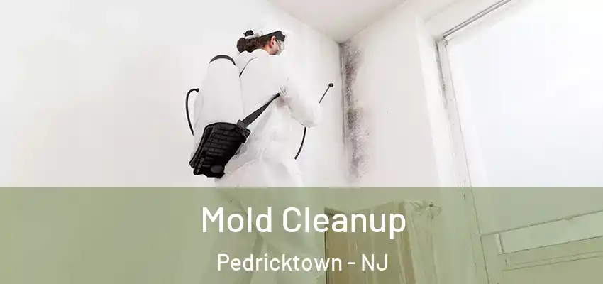  Mold Cleanup Pedricktown - NJ