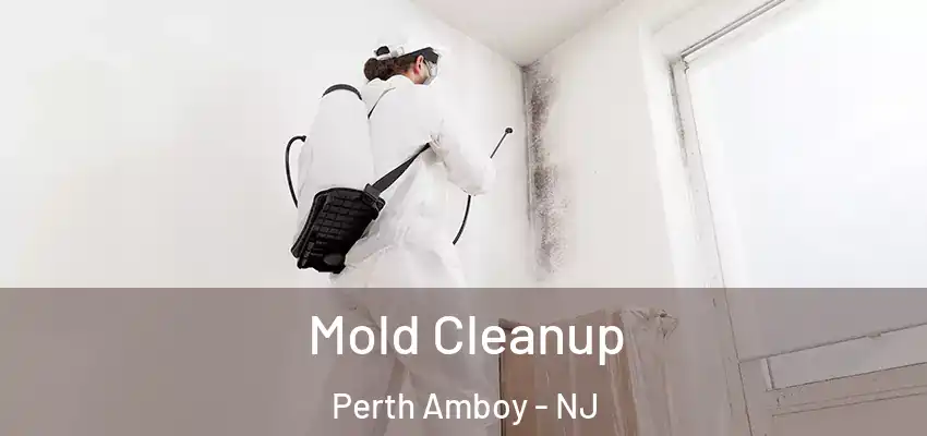 Mold Cleanup Perth Amboy - NJ