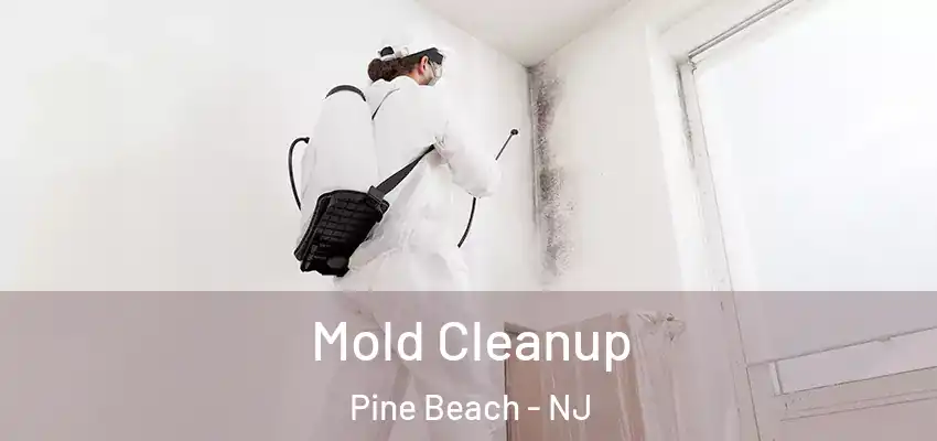  Mold Cleanup Pine Beach - NJ