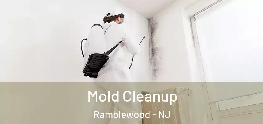 Mold Cleanup Ramblewood - NJ