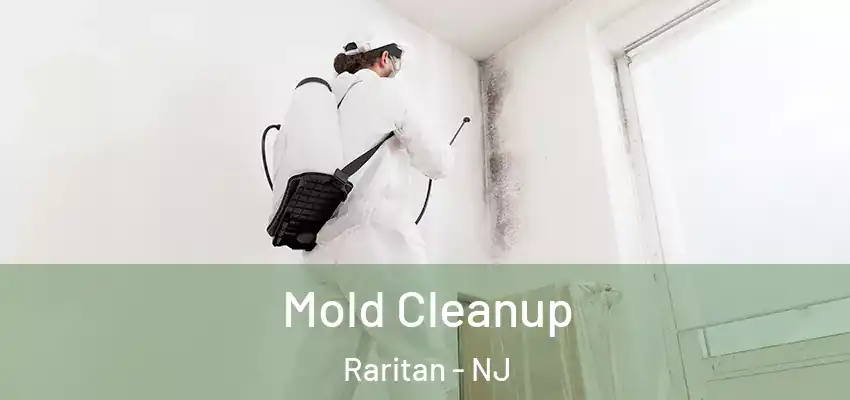 Mold Cleanup Raritan - NJ