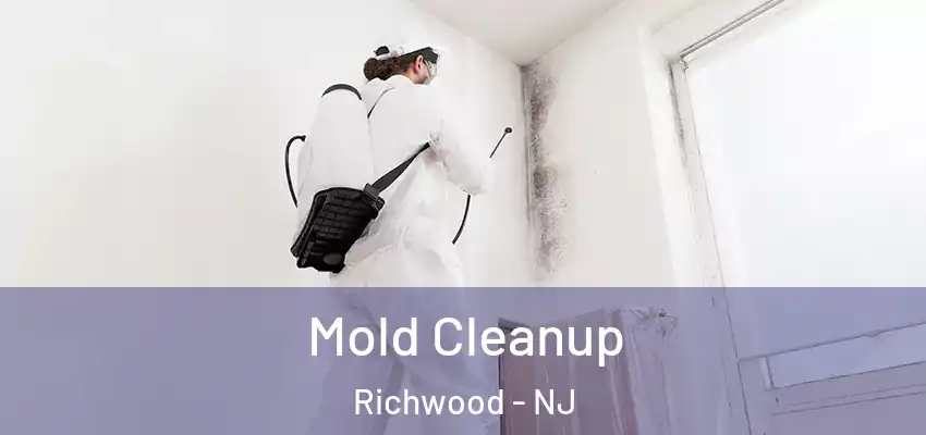 Mold Cleanup Richwood - NJ