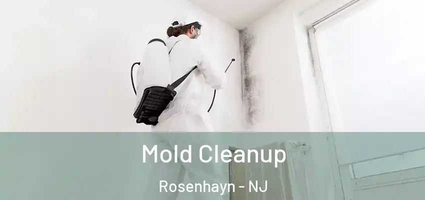 Mold Cleanup Rosenhayn - NJ
