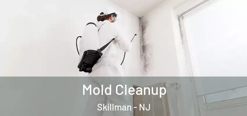  Mold Cleanup Skillman - NJ