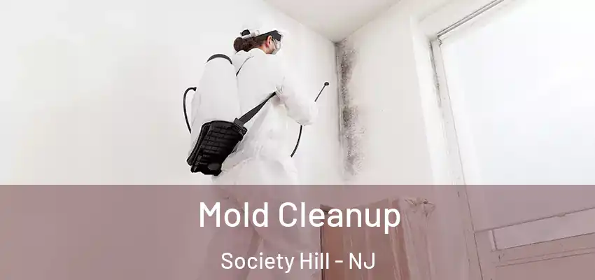 Mold Cleanup Society Hill - NJ