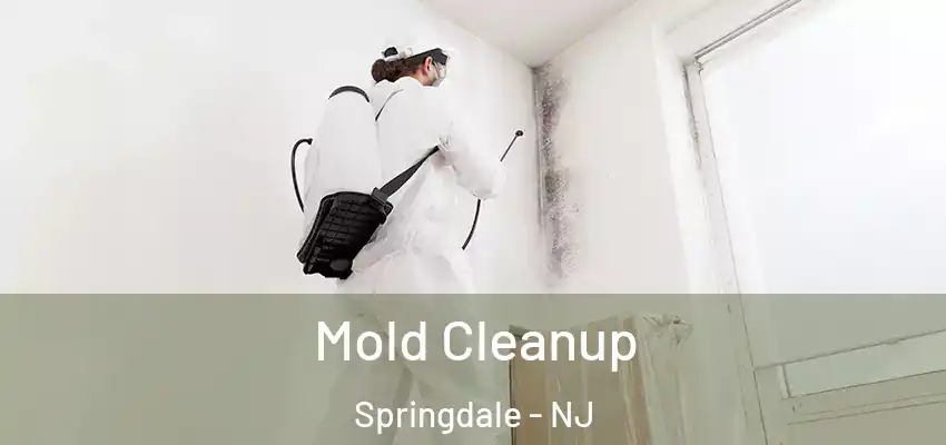 Mold Cleanup Springdale - NJ