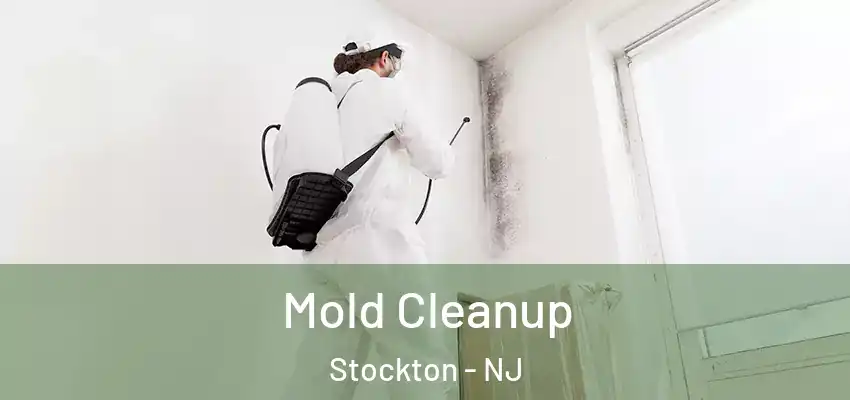 Mold Cleanup Stockton - NJ