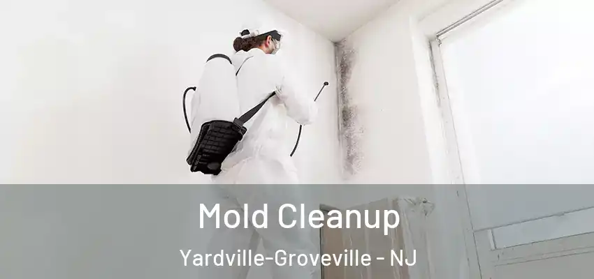  Mold Cleanup Yardville-Groveville - NJ