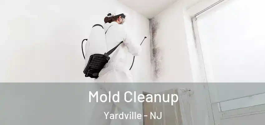 Mold Cleanup Yardville - NJ