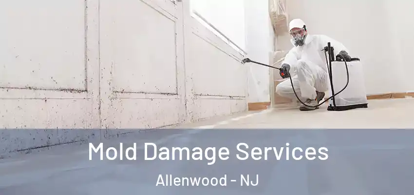 Mold Damage Services Allenwood - NJ