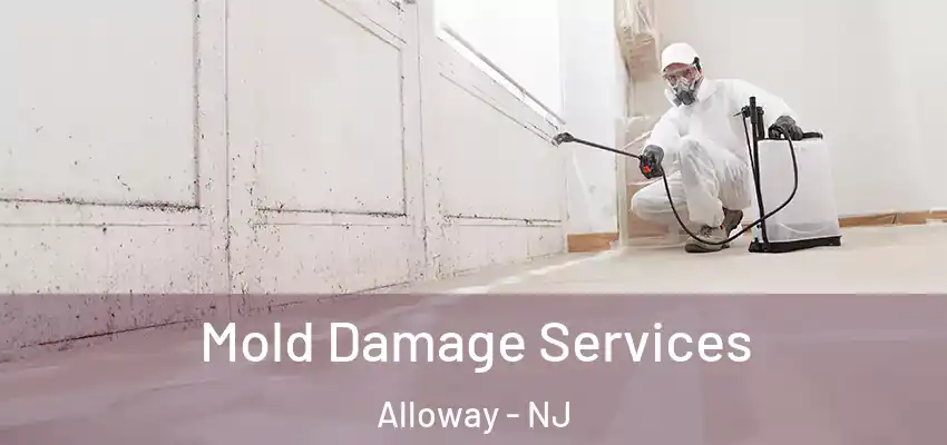 Mold Damage Services Alloway - NJ