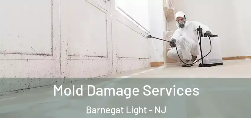  Mold Damage Services Barnegat Light - NJ