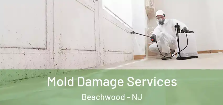  Mold Damage Services Beachwood - NJ