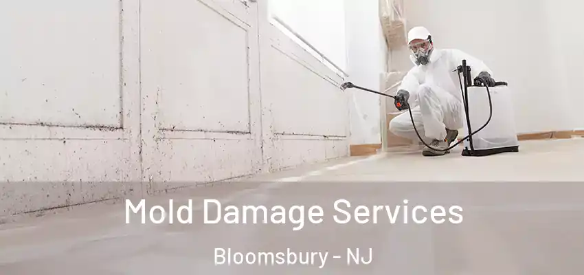 Mold Damage Services Bloomsbury - NJ