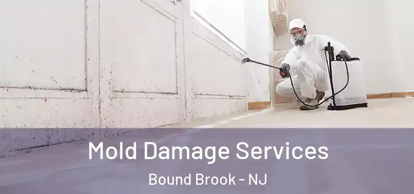 Mold Damage Services Bound Brook - NJ