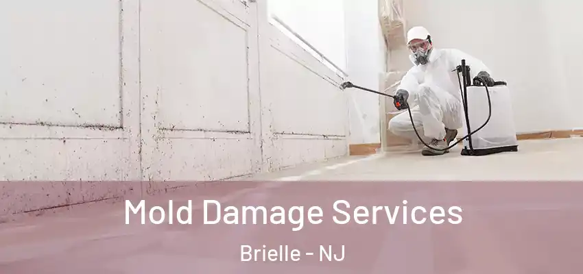 Mold Damage Services Brielle - NJ