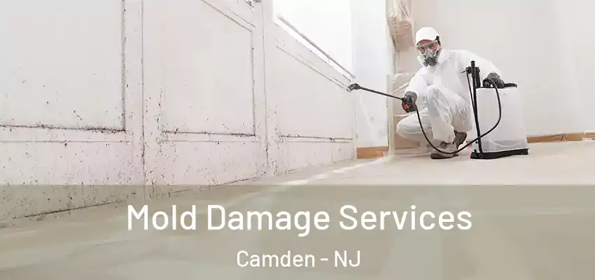  Mold Damage Services Camden - NJ