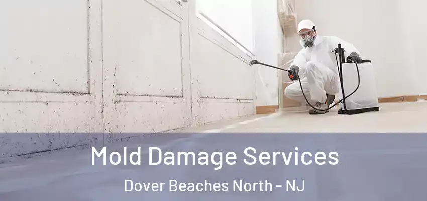 Mold Damage Services Dover Beaches North - NJ