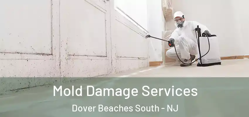  Mold Damage Services Dover Beaches South - NJ