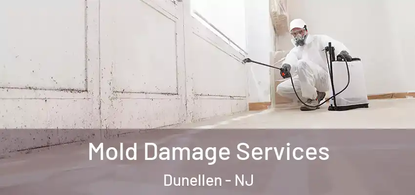 Mold Damage Services Dunellen - NJ