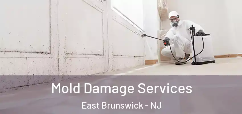 Mold Damage Services East Brunswick - NJ