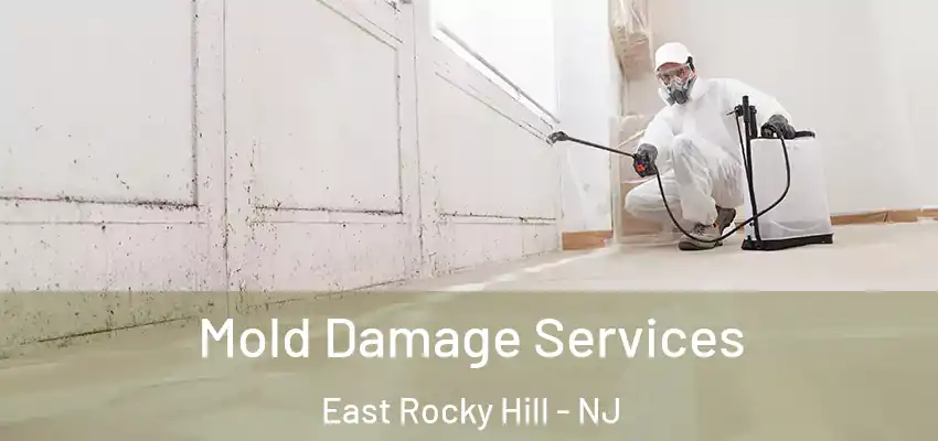  Mold Damage Services East Rocky Hill - NJ