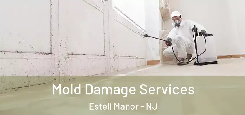  Mold Damage Services Estell Manor - NJ