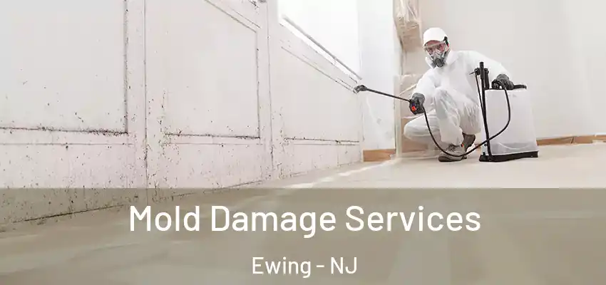 Mold Damage Services Ewing - NJ