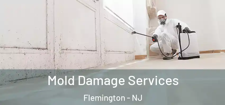  Mold Damage Services Flemington - NJ