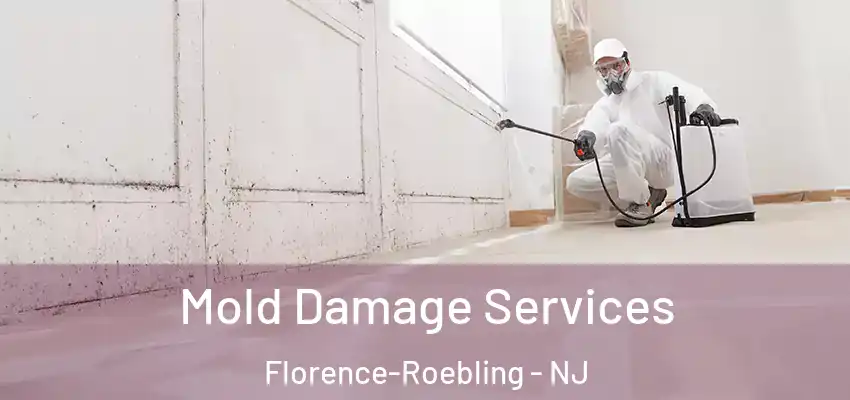  Mold Damage Services Florence-Roebling - NJ