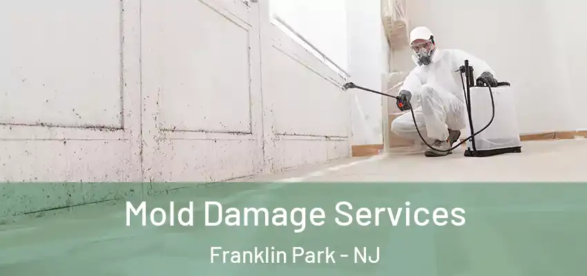  Mold Damage Services Franklin Park - NJ
