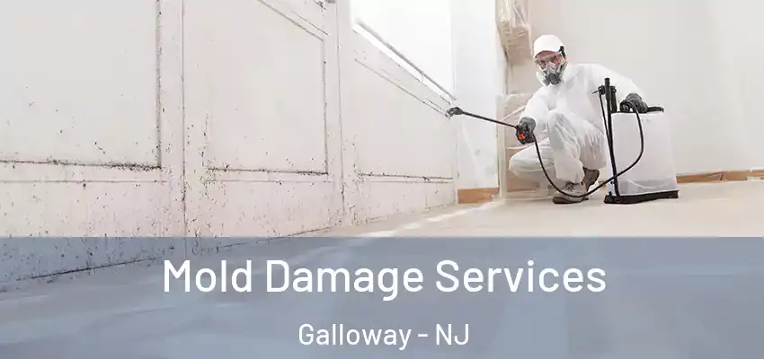 Mold Damage Services Galloway - NJ