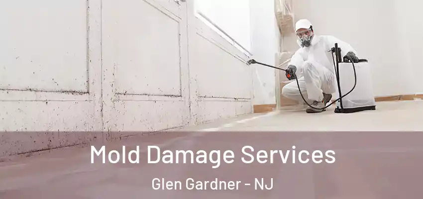  Mold Damage Services Glen Gardner - NJ