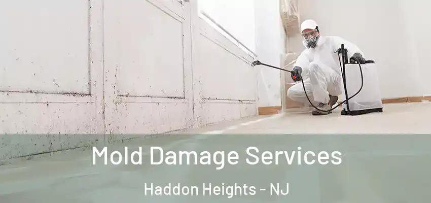  Mold Damage Services Haddon Heights - NJ