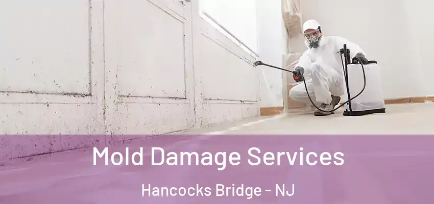  Mold Damage Services Hancocks Bridge - NJ