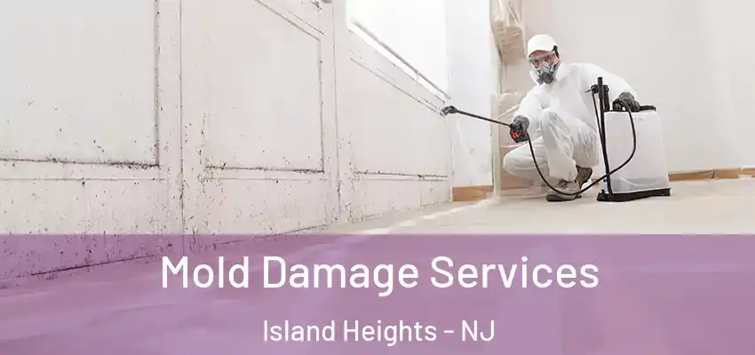  Mold Damage Services Island Heights - NJ