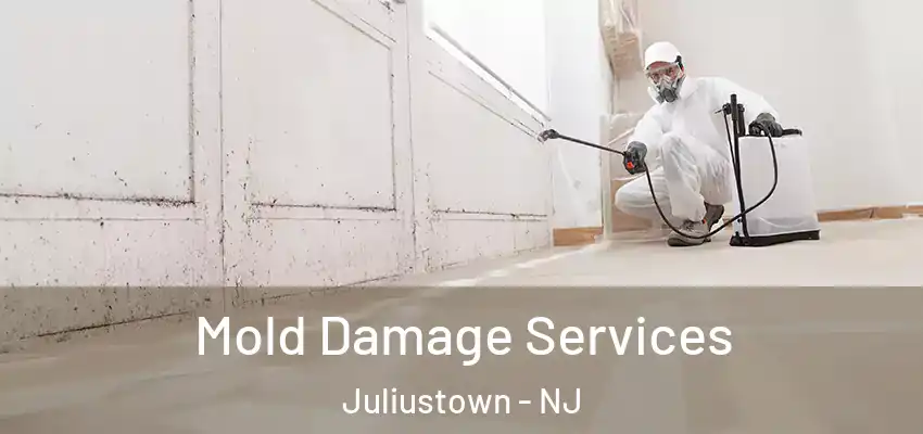 Mold Damage Services Juliustown - NJ