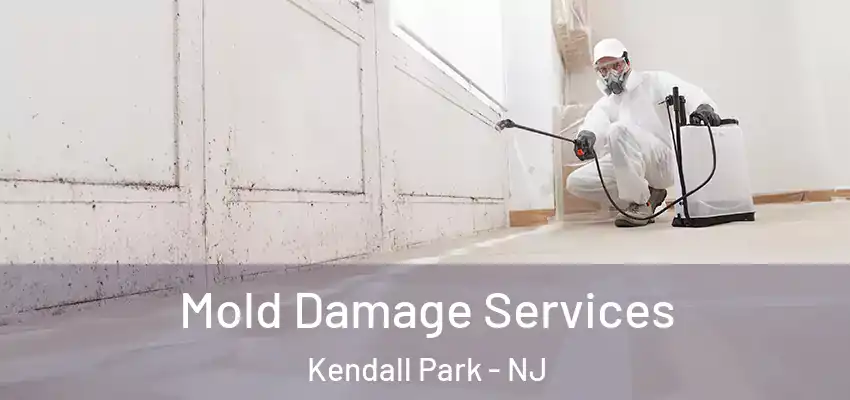  Mold Damage Services Kendall Park - NJ