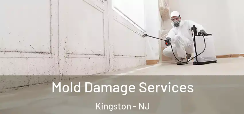  Mold Damage Services Kingston - NJ