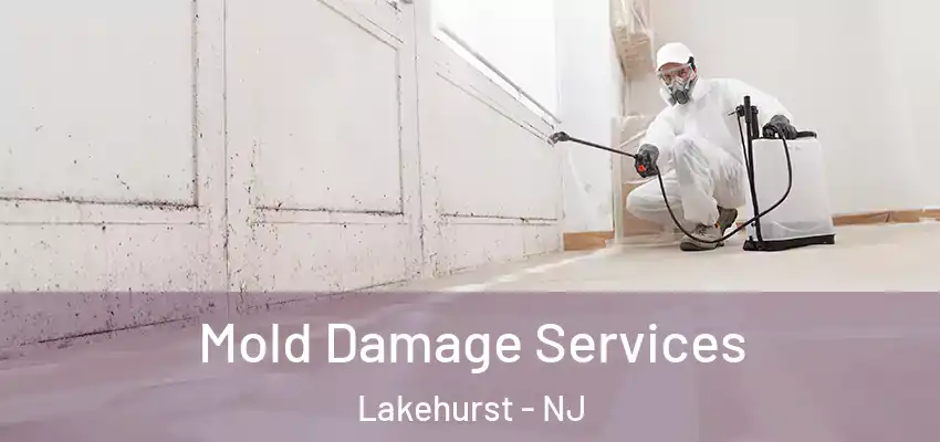Mold Damage Services Lakehurst - NJ
