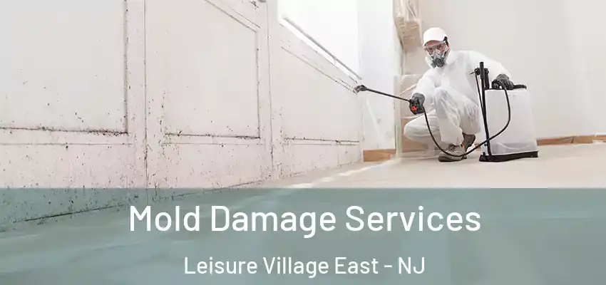  Mold Damage Services Leisure Village East - NJ