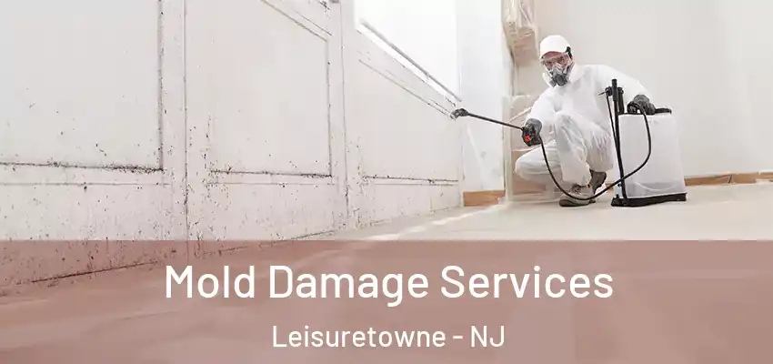 Mold Damage Services Leisuretowne - NJ