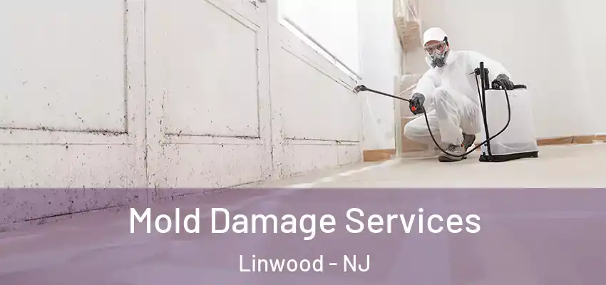 Mold Damage Services Linwood - NJ