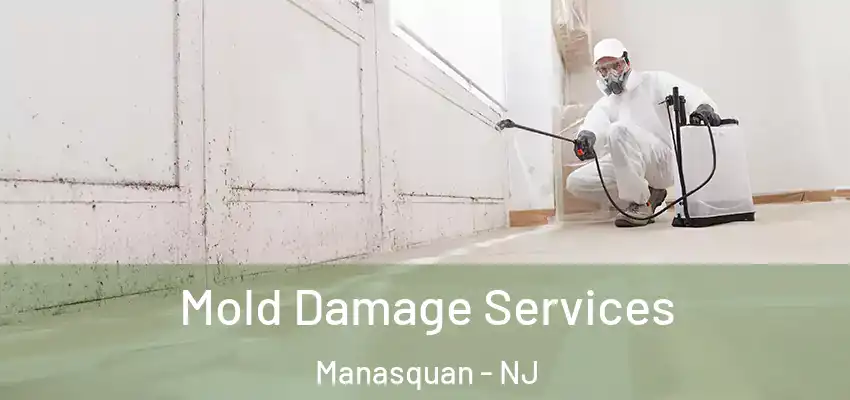  Mold Damage Services Manasquan - NJ