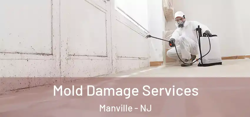  Mold Damage Services Manville - NJ