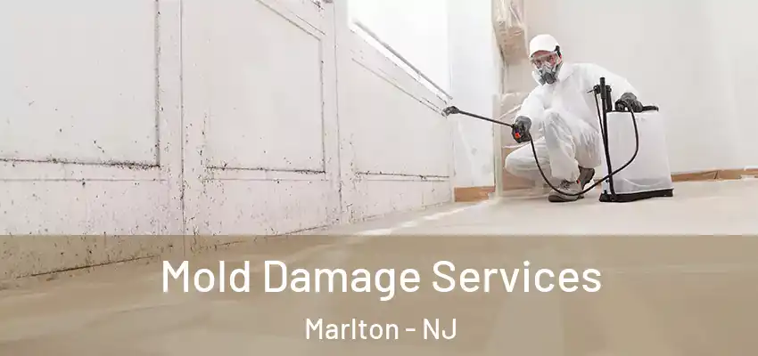  Mold Damage Services Marlton - NJ