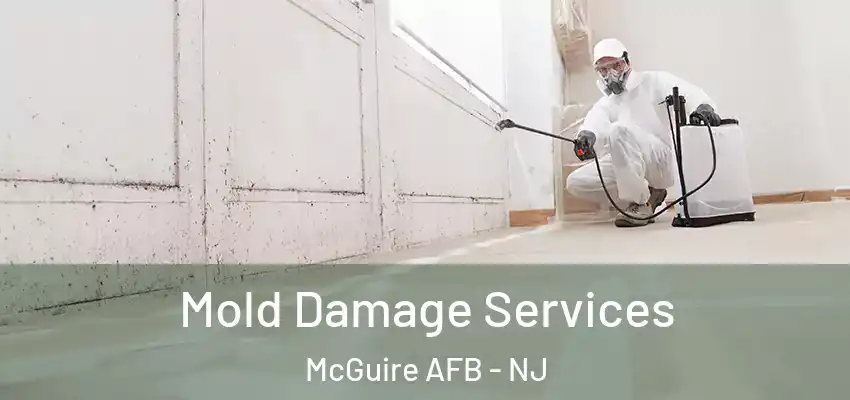  Mold Damage Services McGuire AFB - NJ