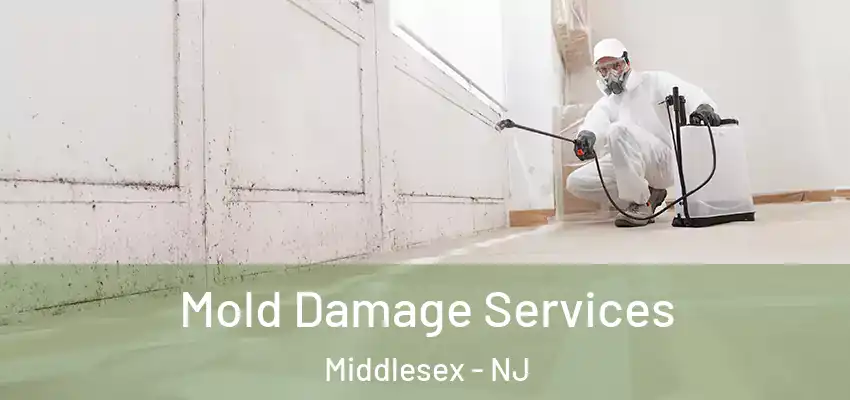  Mold Damage Services Middlesex - NJ